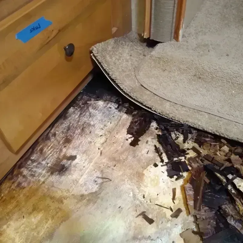 Wood Floor Water Damage in Withamsville, OH